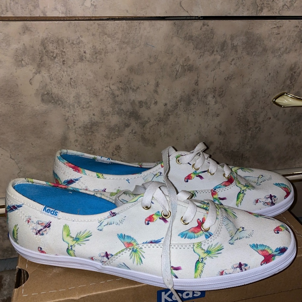 Like new birds of paradise KEDS
